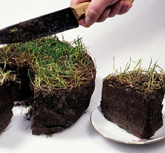 Земельный налог ИП