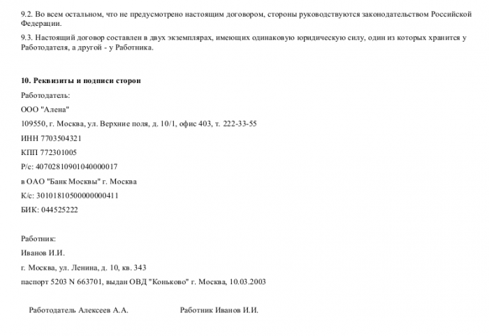 Образец трудового договора с программистом_003