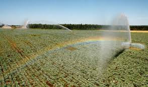 Справка об организации составления отчетности органом управления агропромышленным комплексом