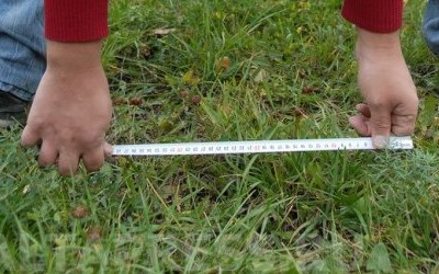 Ставки по земельному налогу