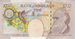 Фунт стерлингов10р