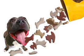 бизнес животные