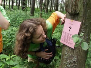 Городской квест