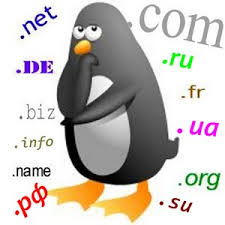выбор доменного имени