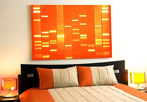 днк портрет