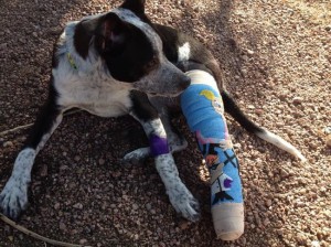 Необычная повязка на гипс на ноге