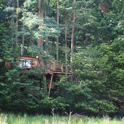 домик на дереве