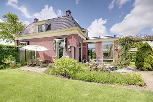 зеленый задний двор