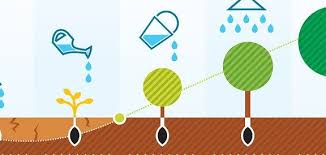 инвестиции для стартапа