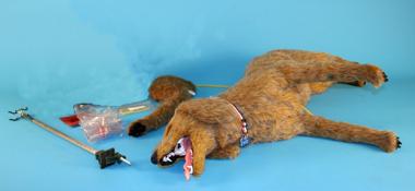 манекены собак