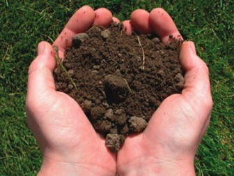 налоговая ставка на землю