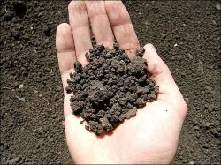 земельный налог