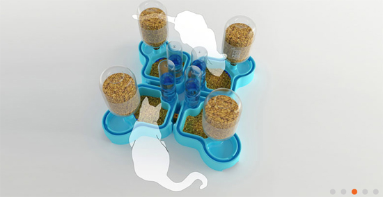 необычная кормушка для кошек