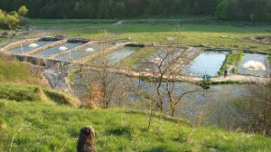 Рыбное хозяйство