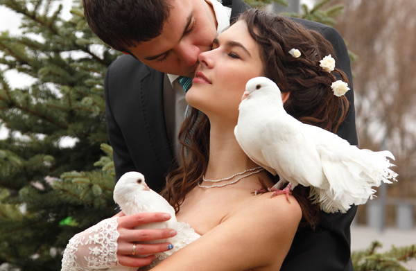 Голуби на свадьбу