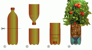 Простая система гидропоники своими руками - как сделать