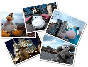 туристическое агентство для игрушек