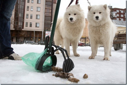 уборка за животными бизнес