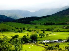 Свой бизнес в селе