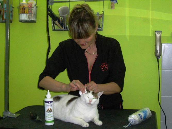 Салон для животных Салон для животных