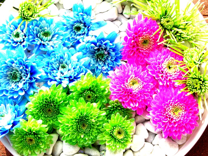 Открываем цветочный магазин