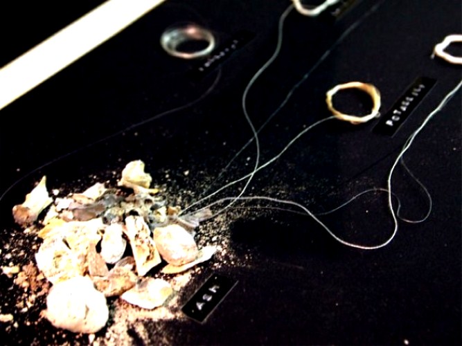 Текстиль из праха мертвого