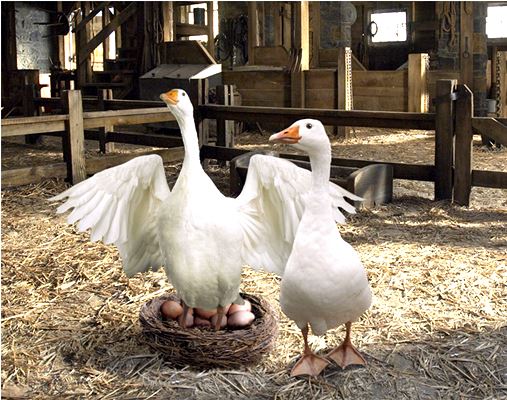 Реализация продуктов