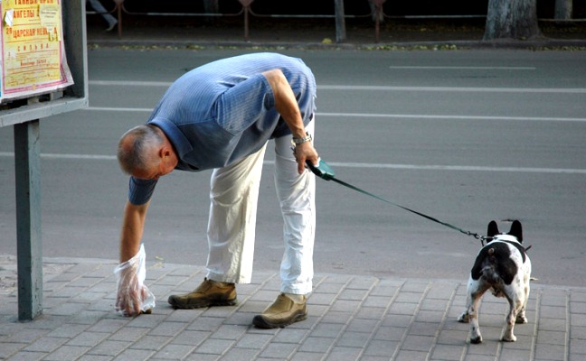 Бизнес на уборке собачьих фекалий