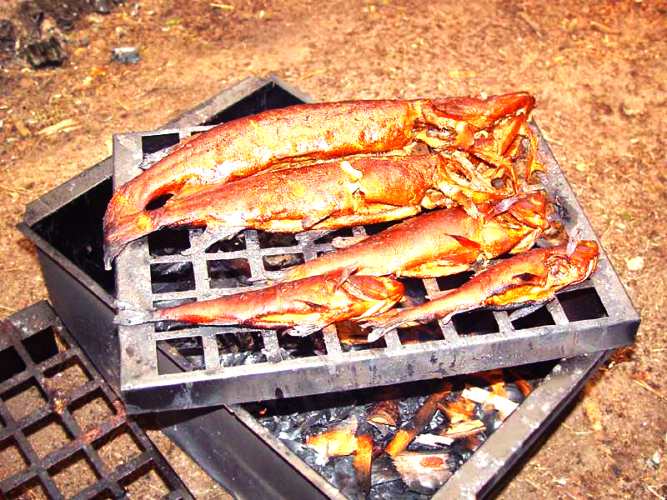 Приготовление копченого окуня в домашних условиях