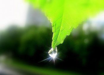 h_yFtNxu1gdbSfO7sVkPq4R9AE6pIzBTX0_