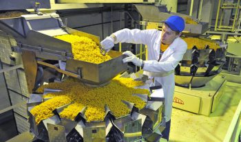 maykopskaya-makaronnaya-fabrika-ooo-57449-large