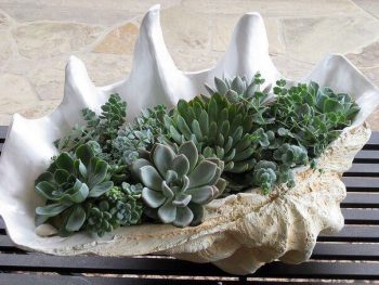 Раковина с растениями - озеленение в интерьере