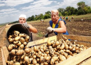 Безработица сезонная 2