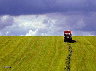 Безработица сезонная 4