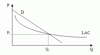 Естественная монополия 3