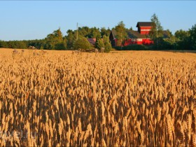 Земельная рента