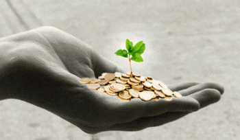 Инвестиции прямые 5