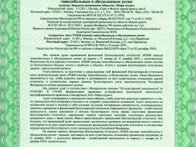 аудиторское заключение 2