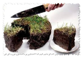 земельная рента 2