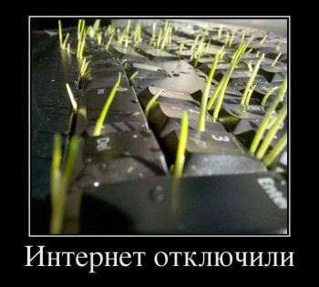 Чем заняться, когда нет интернета?