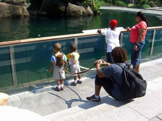 Поводок рюкзак