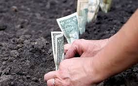 Мораторий 2