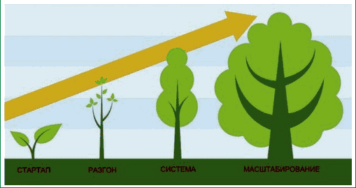 Процесс создания франшизы