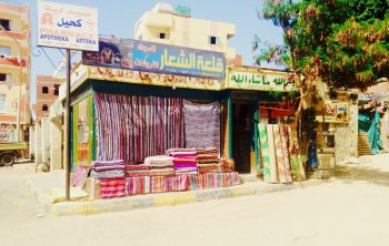 Заработок в Египте