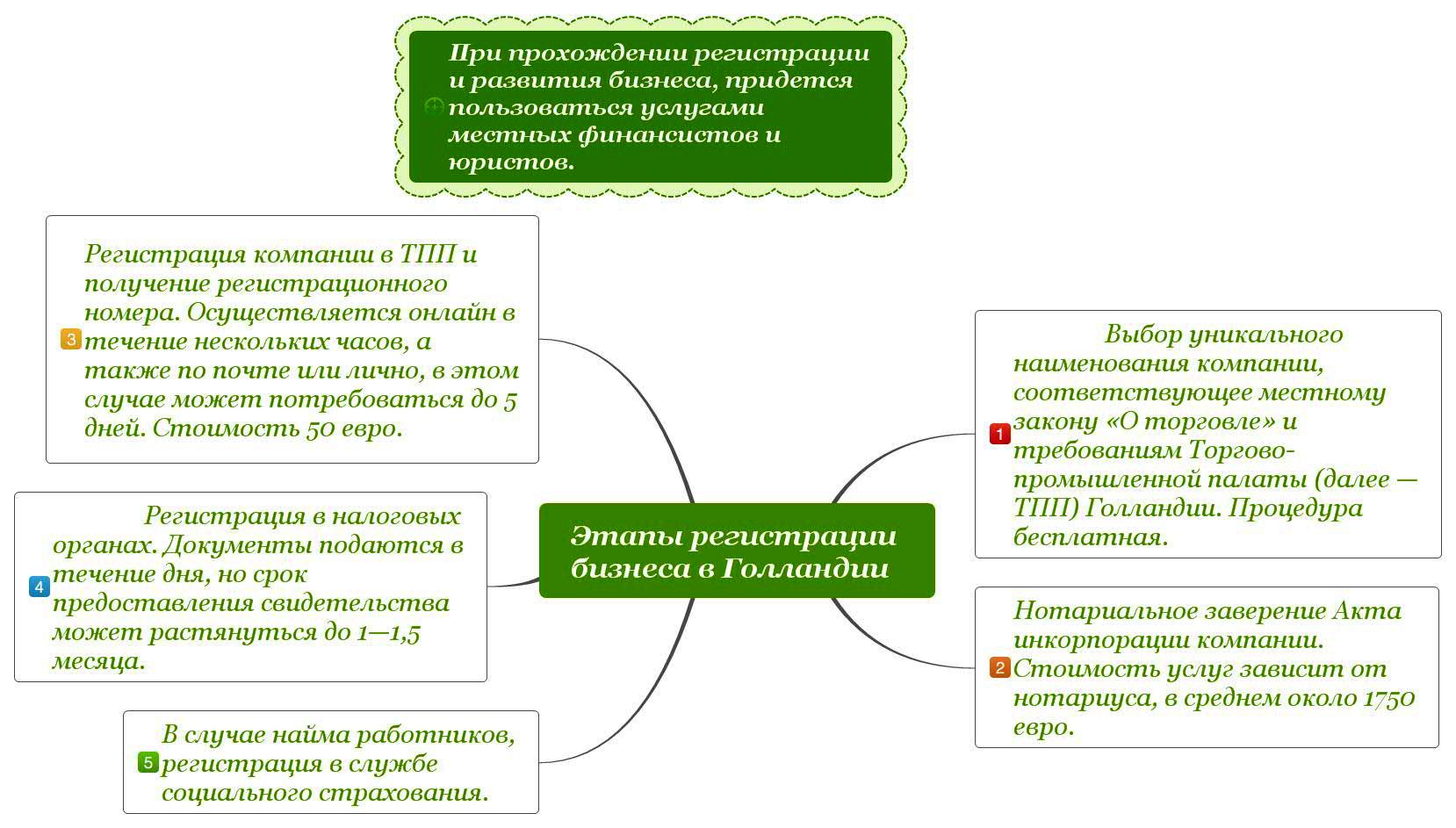 Этапы регистрации бизнеса в Голландии