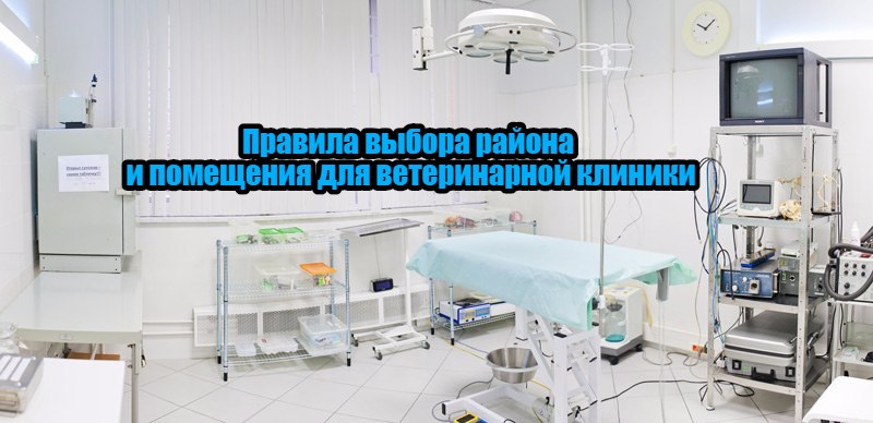 Выбор района для старта бизнеса