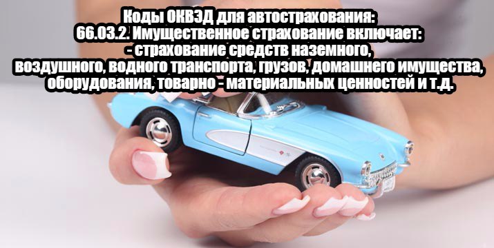 Коды ОКВЭД для страховки