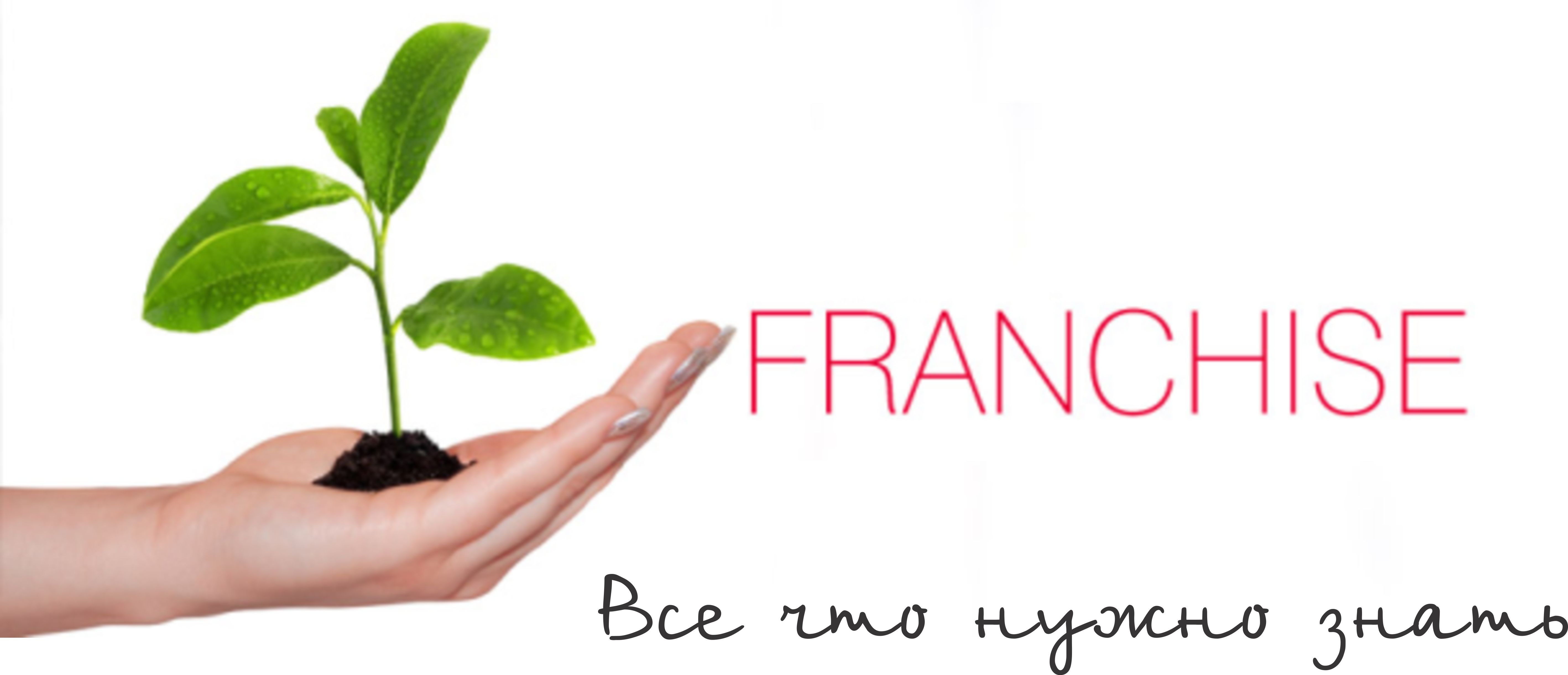 Как выгодно вложить деньги во франчайзинг? 