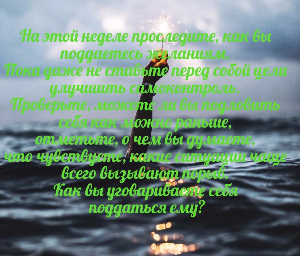 Цитата из книги