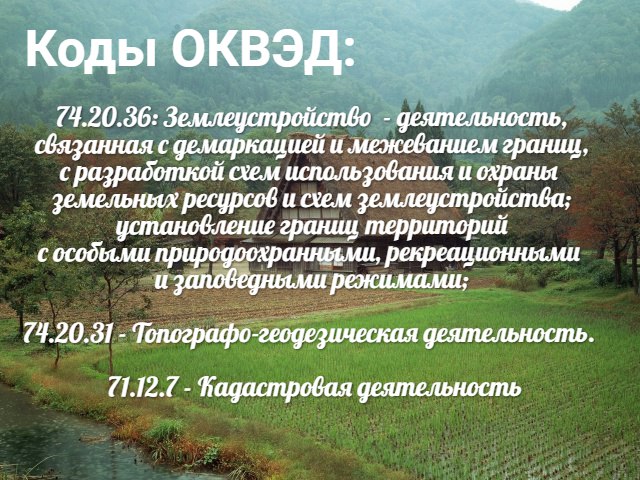 Коды ОКВЭД для открытия предпринимательской деятельности